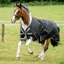 Amigo Bravo 1200D XL Standard Neck 0g Turnout Rug - Black/Titanium
