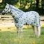 Amigo Pony Bug Rug Plus Fly Rug - Dragonfly/Silver Blue/Sage