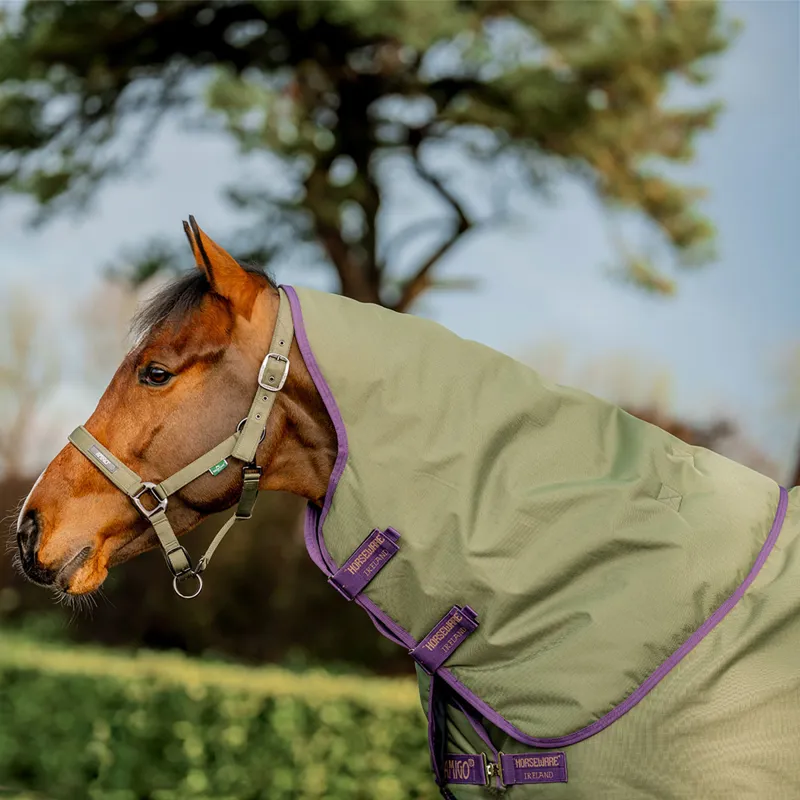 Amigo Hero 600D with Ripstop 0g Turnout Hood - Bramble/Winterberry