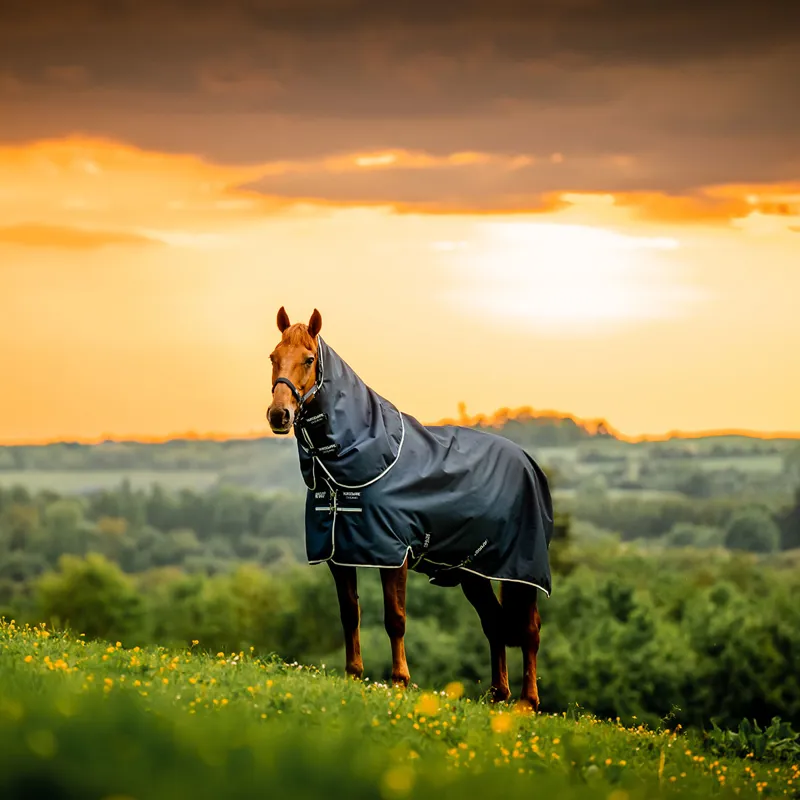 Amigo Ripstop 900D Plus 0g Turnout Rug - Witney Navy-11
