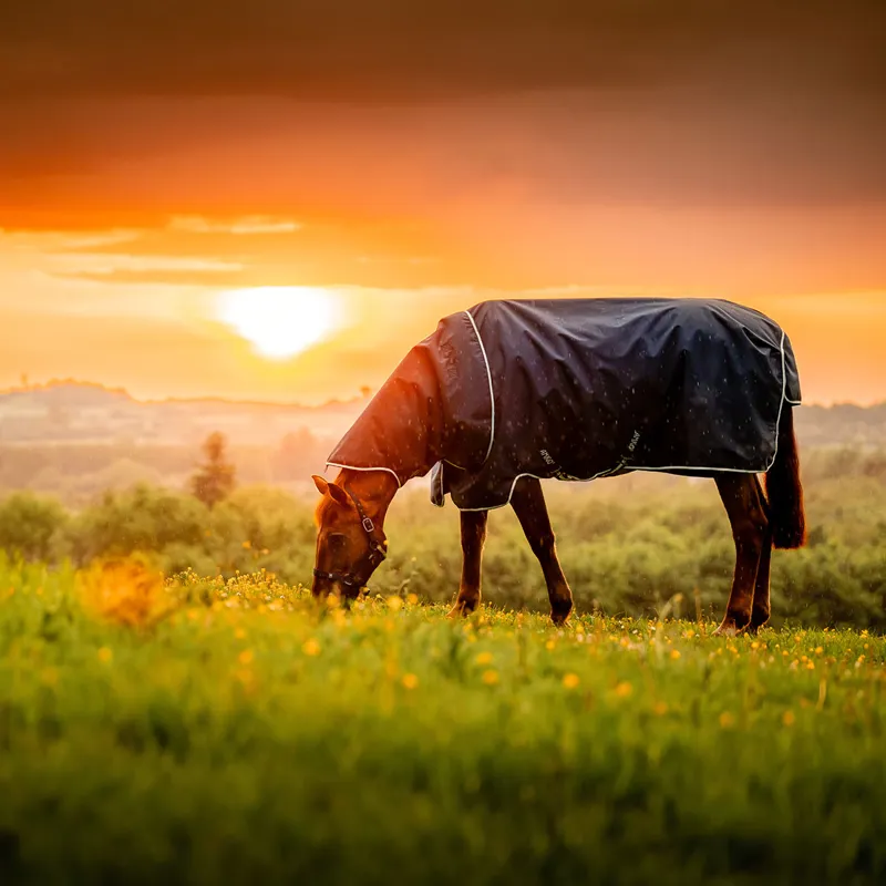 Amigo Ripstop 900D Plus 0g Turnout Rug - Witney Navy-9