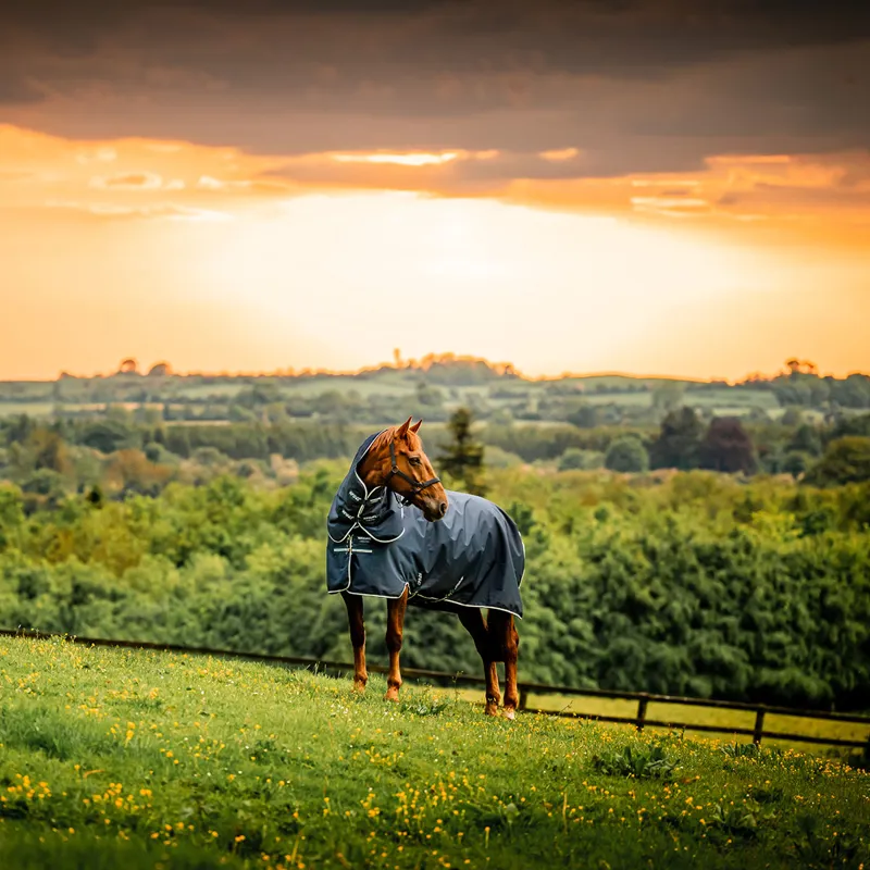 Amigo Ripstop 900D Plus 0g Turnout Rug - Witney Navy-1