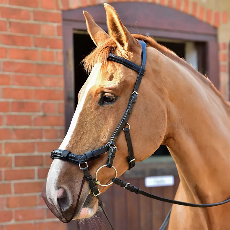 Equilibrium Net Relief Anatonimuzzle Net - Black