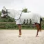 QHP Anti-Fly Rug with Detachable Neck and Mask - Grey