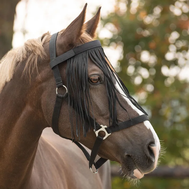 QHP Anti-Fly Fringe - Black