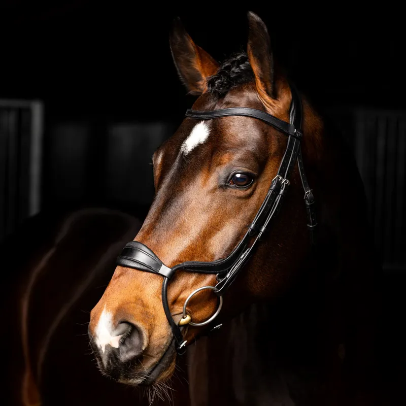 LeMieux Arika Adjustable Anatomic Noseband Bridle - Black/Silver-1