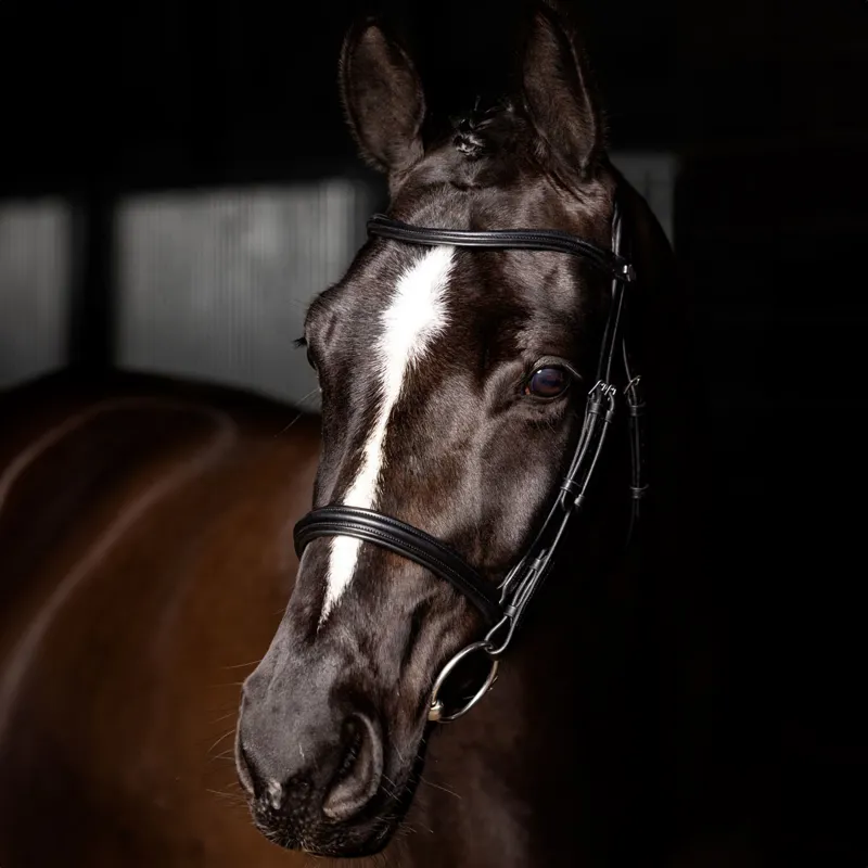 LeMieux Arika Cavesson Bridle - Black/Silver-1