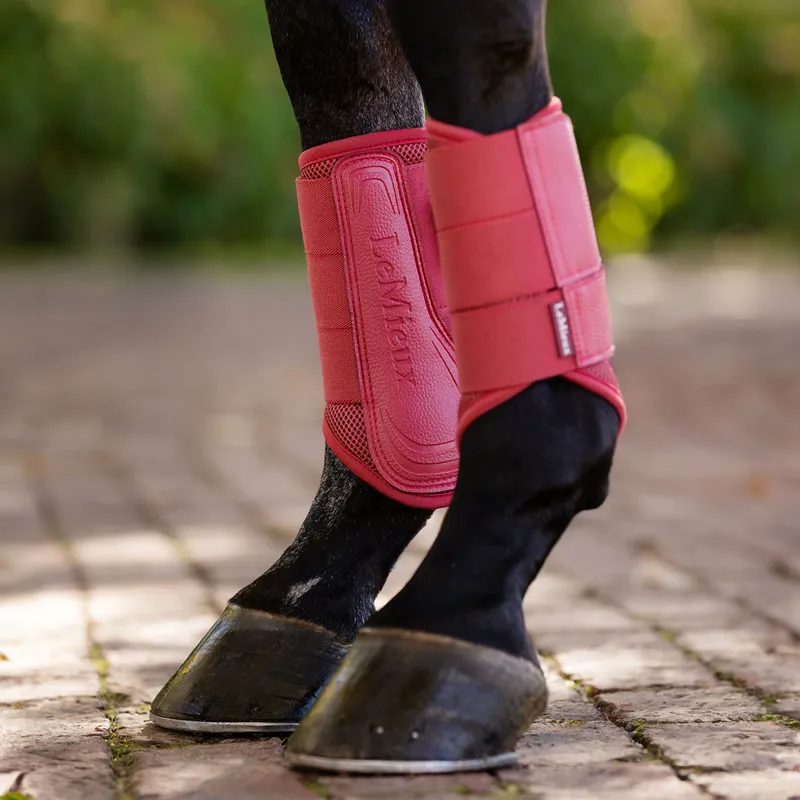LeMieux Arika Mesh Brushing Boots - Cranberry-3