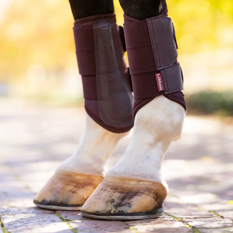 LeMieux Arika Mesh Brushing Boots - Damson-3