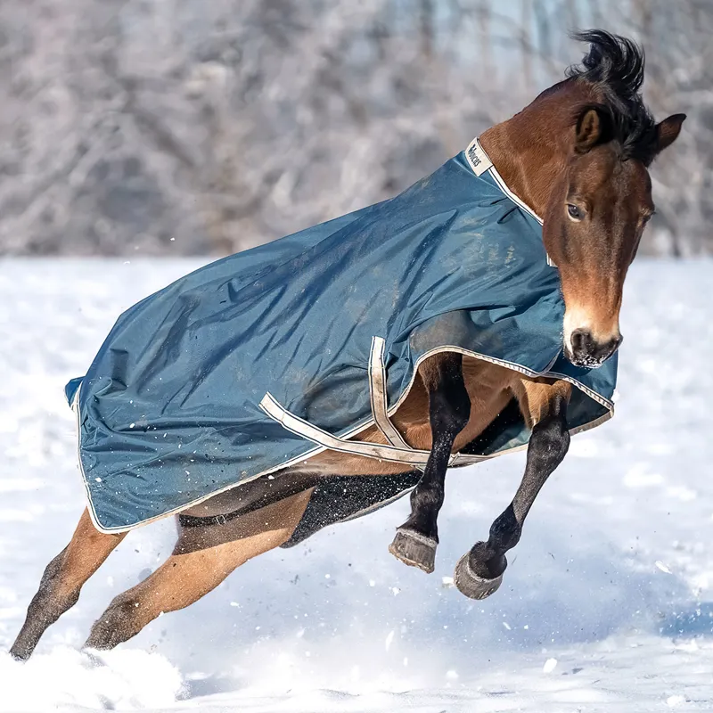 Bucas Atlantic 50g Standard Neck Turnout Rug - Atlantic Green-6