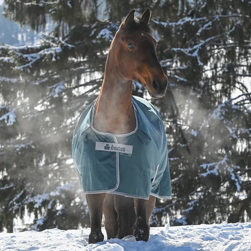 Bucas Atlantic 50g Standard Neck Turnout Rug - Atlantic Green-5