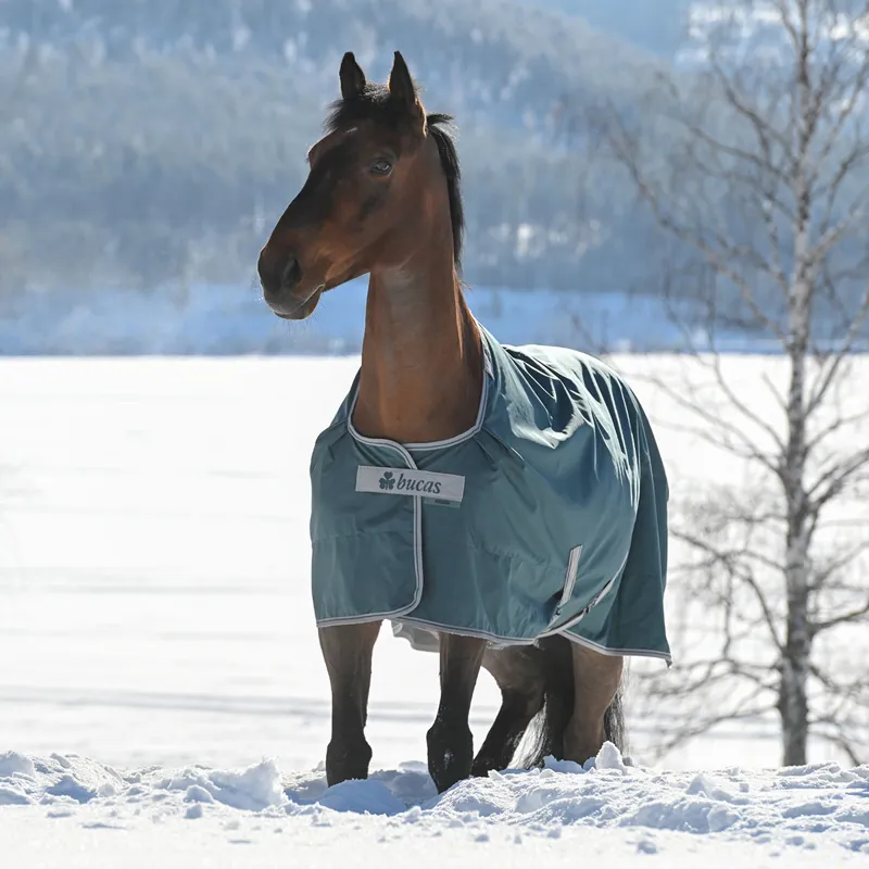 Bucas Atlantic 50g Standard Neck Turnout Rug - Atlantic Green-4