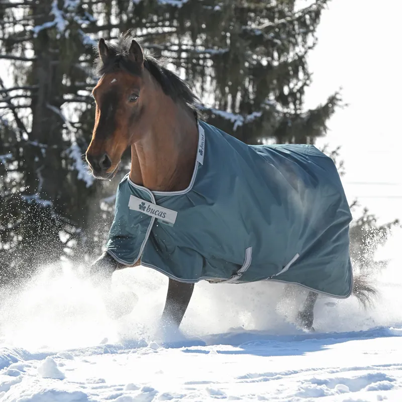 Bucas Atlantic 50g Standard Neck Turnout Rug - Atlantic Green-1