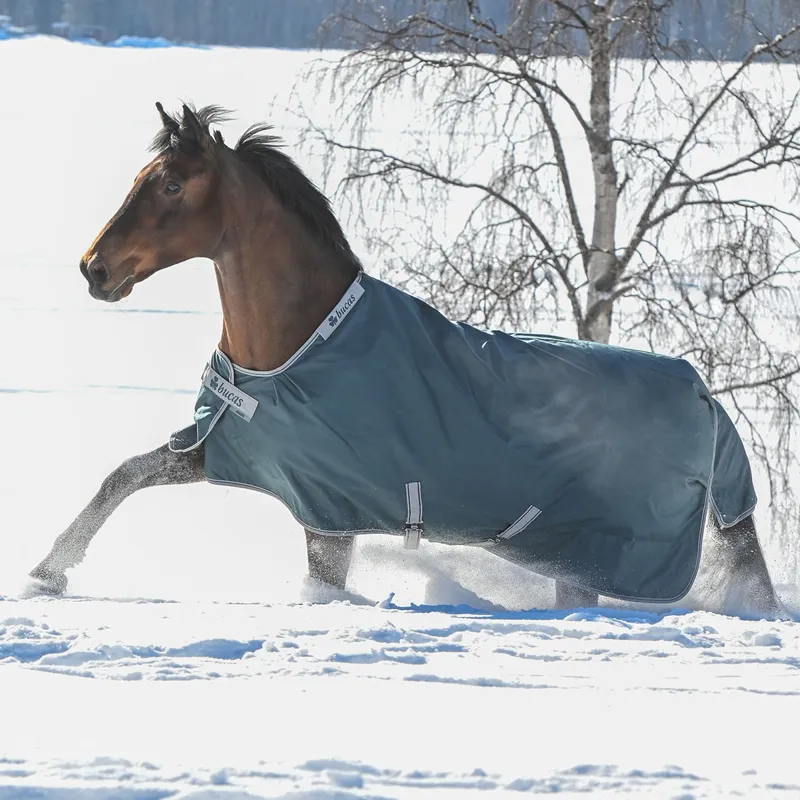 Bucas Atlantic 50g Standard Neck Turnout Rug - Atlantic Green-2