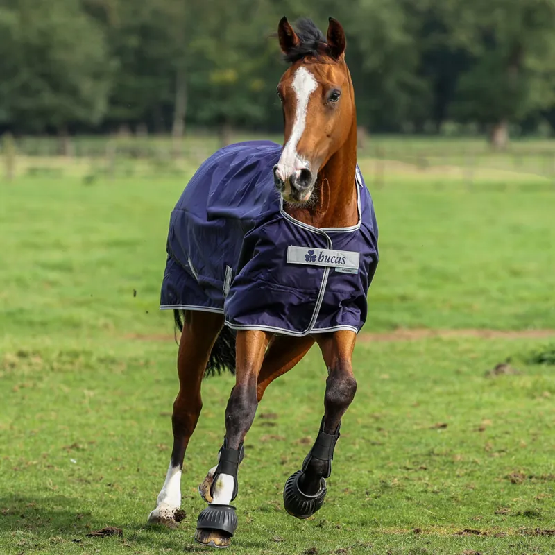 Bucas Atlantic 200g Standard Neck Turnout Rug - Navy/Silver-3