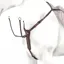 Equipe BP20 Y-Shaped Breastplate - Brown