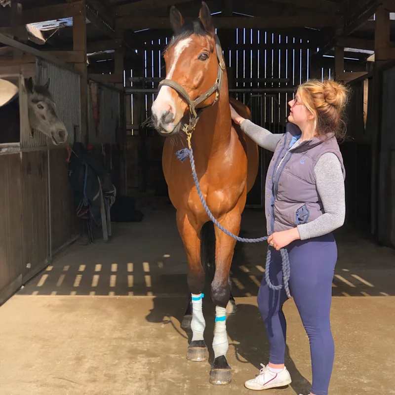 Equi-N-Ice Reusable Therapeutic Cooling Horse Bandage-5