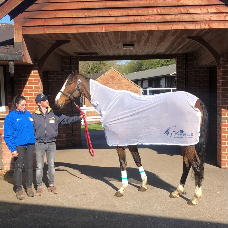 Equi-N-Ice Rapid Cooler Rug-4