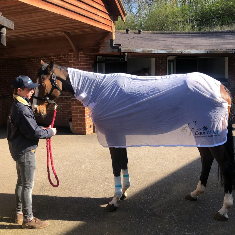 Equi-N-Ice Rapid Cooler Rug-5