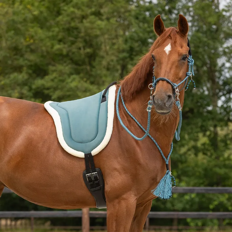 QHP Bareback Pad - Petrol-3