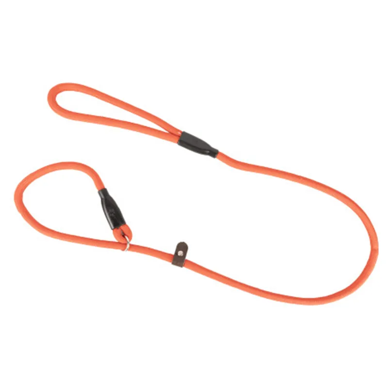 Benji and Flo Classic Slip Dog Lead - Red