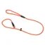 Benji and Flo Classic Slip Dog Lead - Red