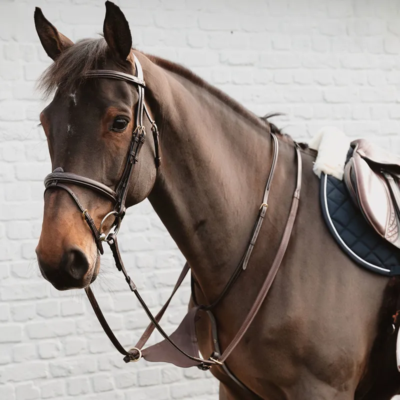 Dy'on D Collection Soft Leather Bib Martingale - Brown-1