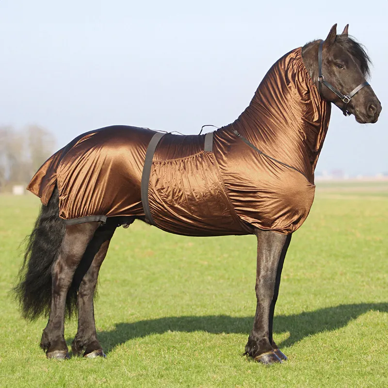 QHP Big Neck Sweet-Itch Combo Neck Fly Rug - Brown