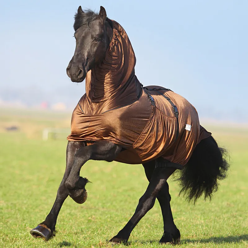 QHP Big Neck Sweet-Itch Combo Neck Fly Rug - Brown-1