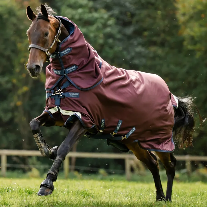 Amigo 1200D Plus 100g Detachable Neck Turnout Rug - Burgundy/Navy/Grey