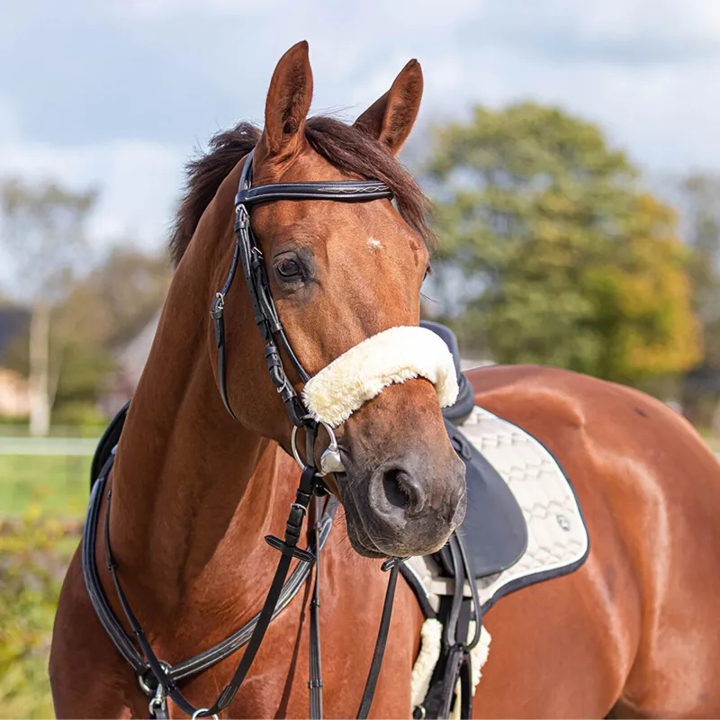 QHP Fur Bridle Cover - Cream-1