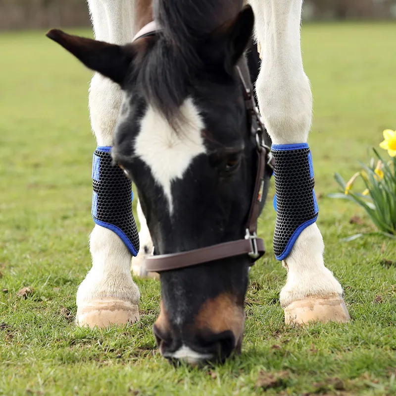 Equilibrium Tri-Zone Brushing Boots - Royal Blue-2
