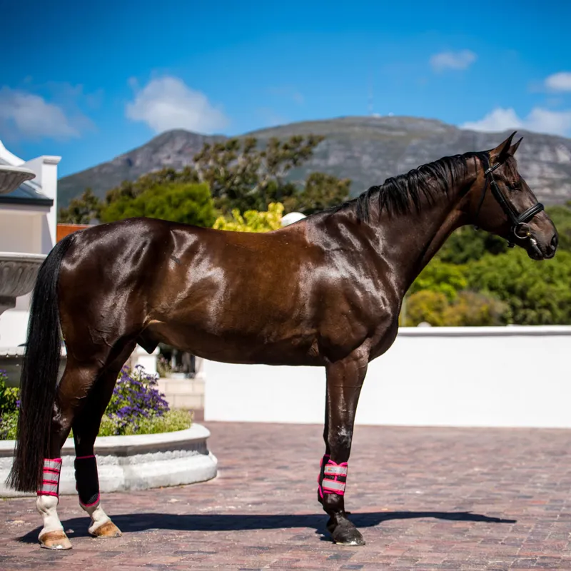 Equilibrium Tri-Zone Brushing Boots - Fluorescent Pink-3