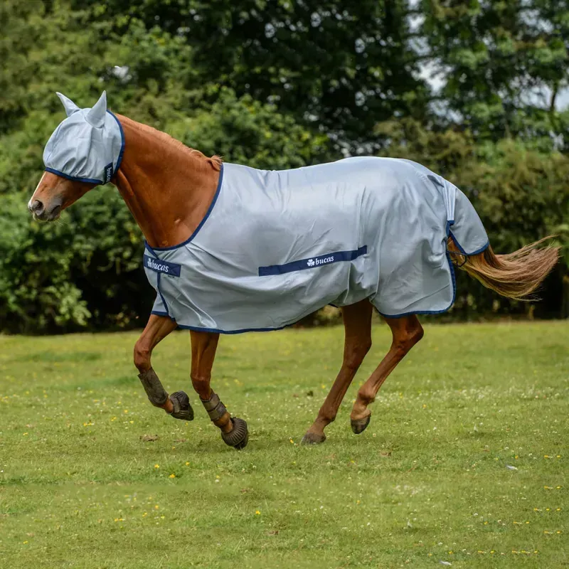 Bucas Buzz-Off Classic Standard Neck Fly Rug - Silver/Blue-6