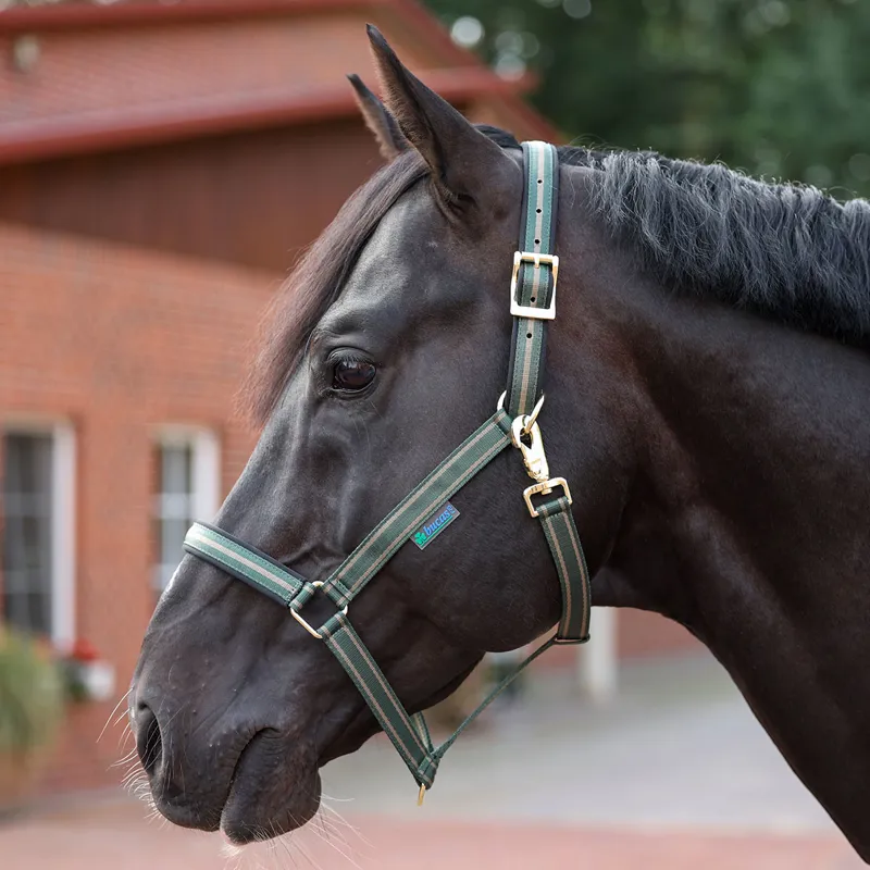 Bucas Dublin Headcollar - Opal/Taupe