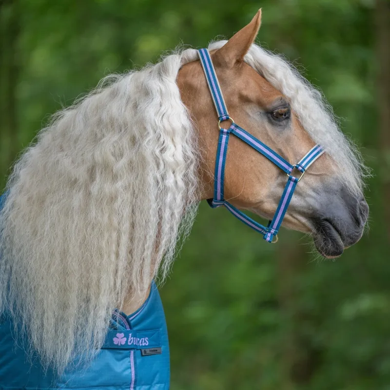 Bucas Freedom 150g Detachable Neck Turnout Rug - Blueberry-2