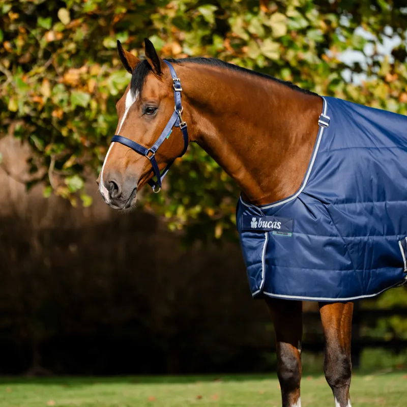 Bucas Quilt 300g Stable Rug with Stay-Dry Lining - Navy/Silver-1