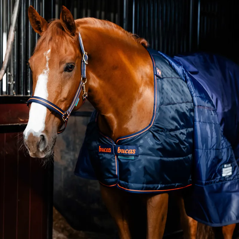 Bucas Therapy 150g  Liner Rug - Navy/Orange-2