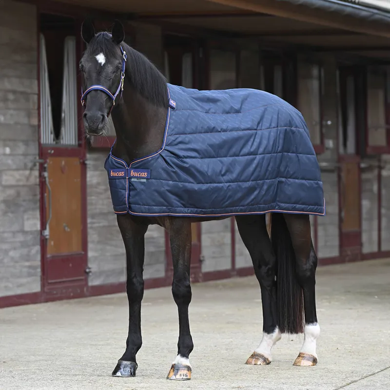 Bucas Therapy 150g  Liner Rug - Navy/Orange