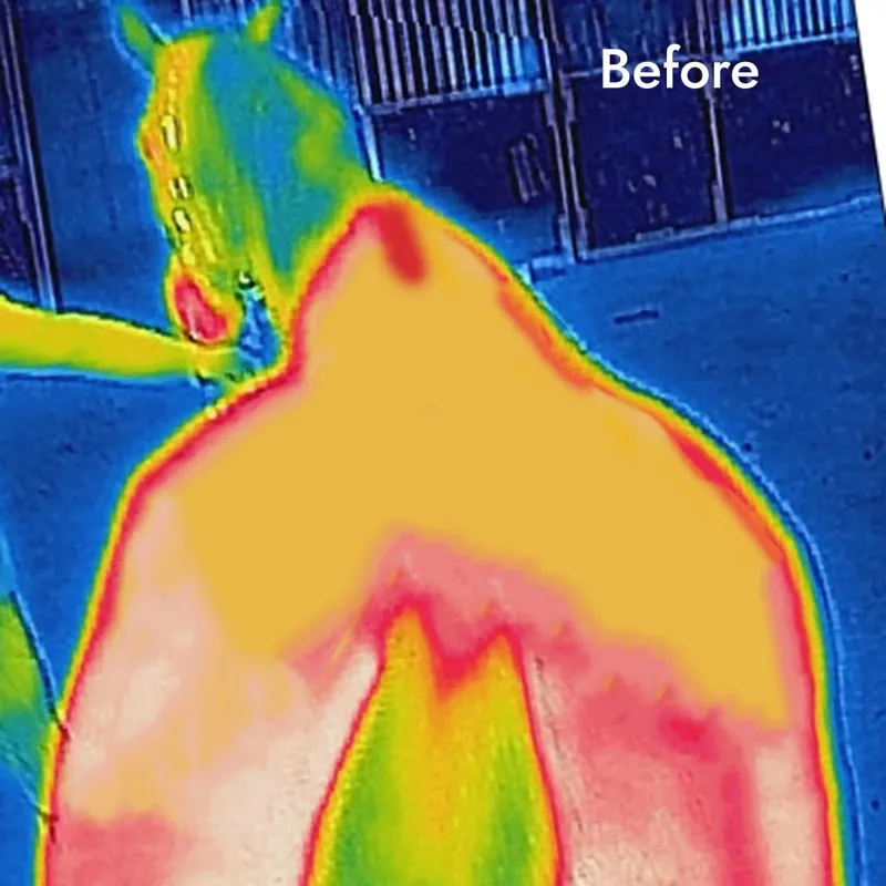 Bucas Therapy 150g  Liner Rug - Navy/Orange-6