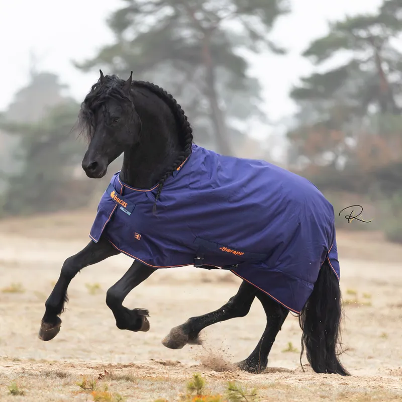 Bucas Therapy 0g Turnout Rug - Navy/Orange-10