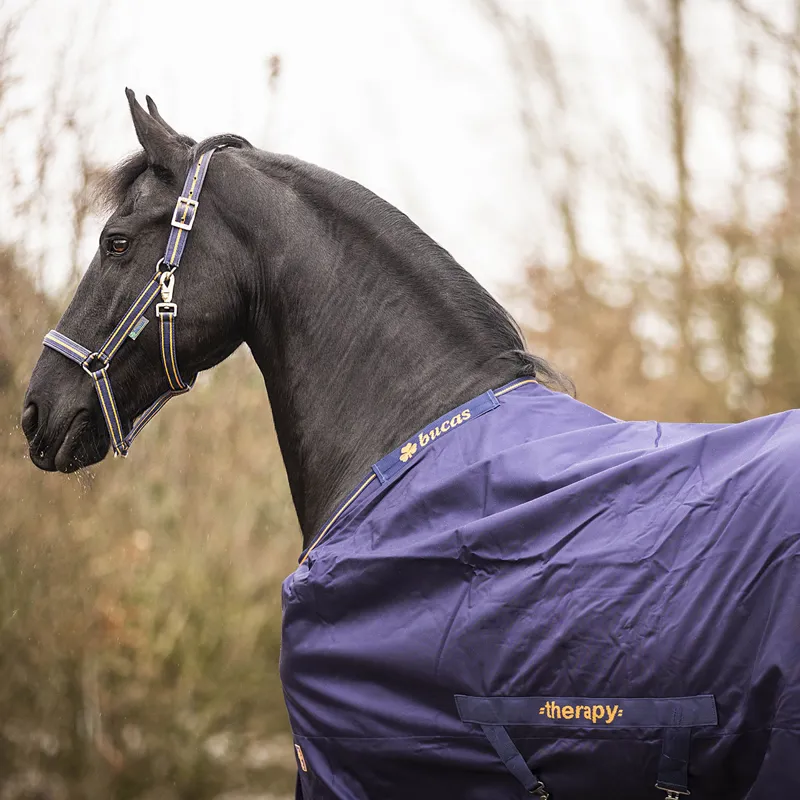 Bucas Therapy 0g Turnout Rug - Navy/Orange-8