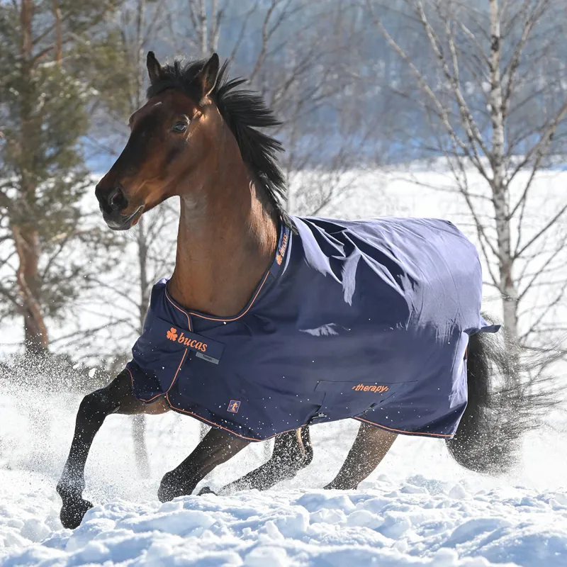 Bucas Therapy 0g Turnout Rug - Navy/Orange-7