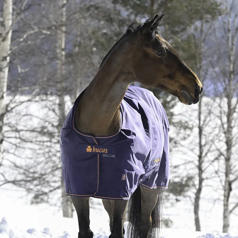 Bucas Therapy 0g Turnout Rug - Navy/Orange-5