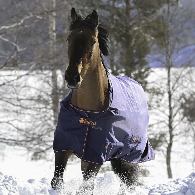 Bucas Therapy 0g Turnout Rug - Navy/Orange-4