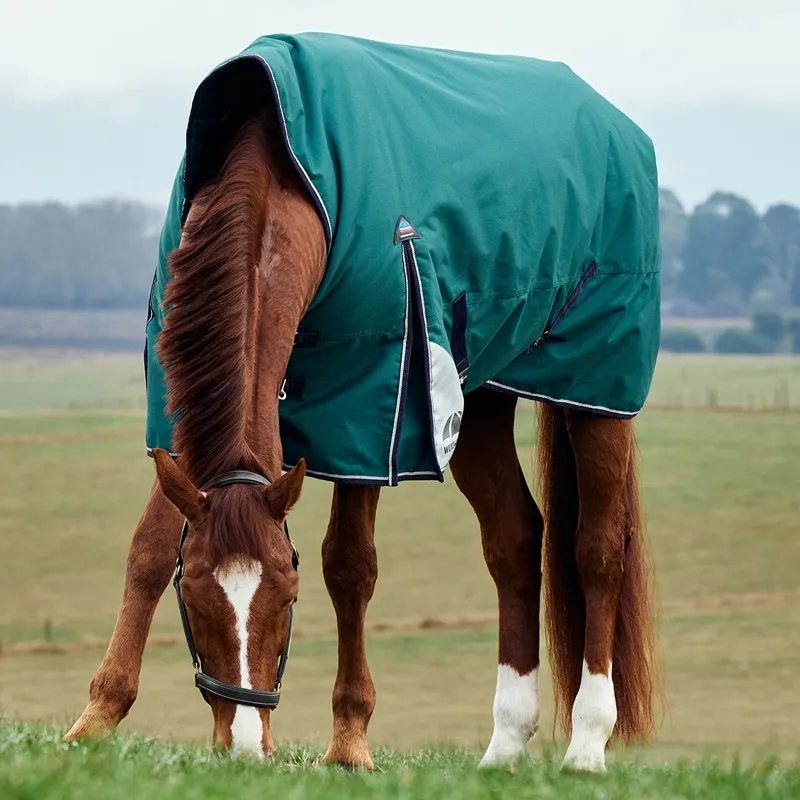 WeatherBeeta ComFiTec Plus Dynamic 100g High Neck Turnout Rug - Green-2