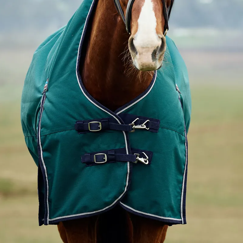 WeatherBeeta ComFiTec Plus Dynamic 100g High Neck Turnout Rug - Green-1