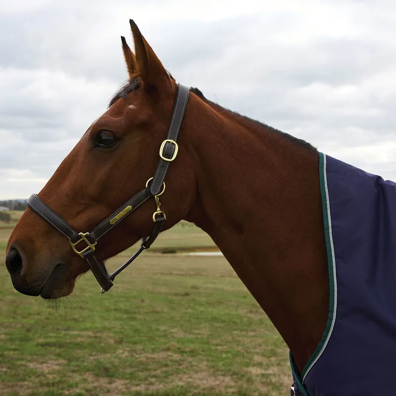 WeatherBeeta ComFiTec Plus Dynamic 220g High Neck Turnout Rug - Navy-7