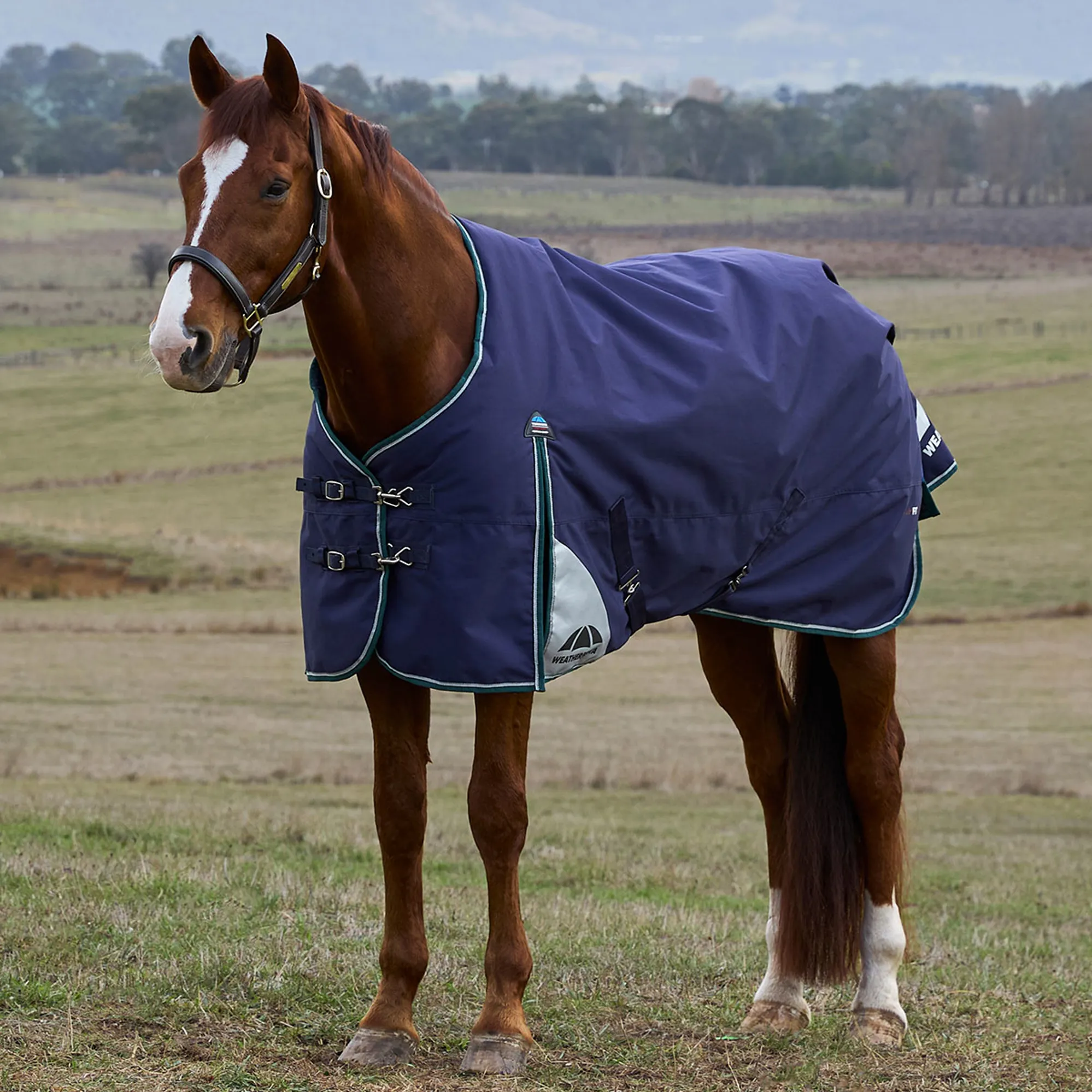 Weatherbeeta Comfitec Plus Dynamic Combo Neck Lite - Barton Weatherbeeta Comfitec Plus Dynamic Combo Neck Lite - Barton
