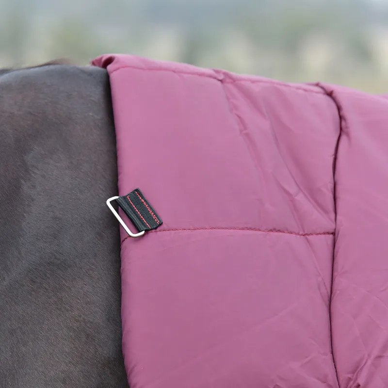 WeatherBeeta ComFiTec Essential 360g Combo Turnout Rug - Burgundy/Navy-7